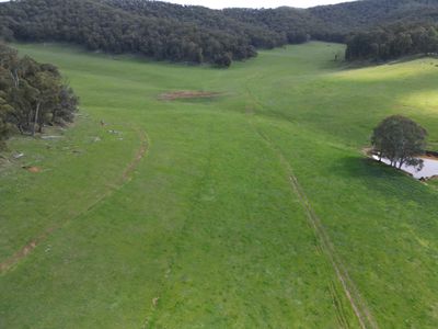 'Eastmore' 1177 Callaghan Creek Road, Mitta Mitta