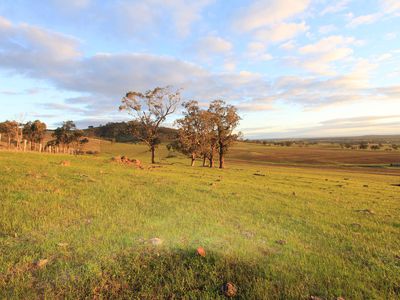 40 Gibb Road, Toolleen