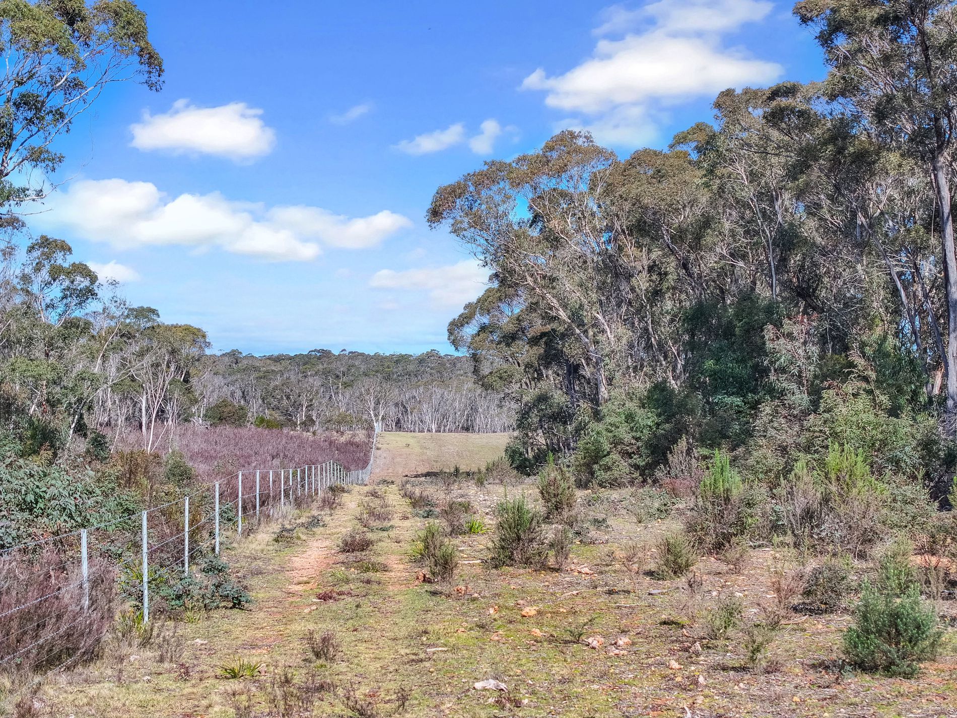 Lot 193 / 443 Back Creek Road, Mongarlowe
