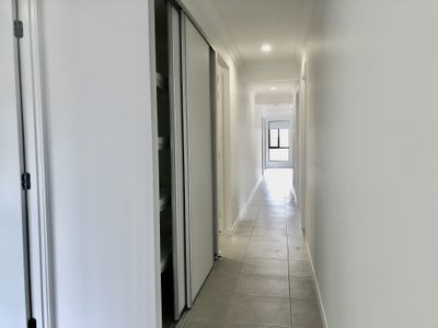 15 Otto Street , Walloon