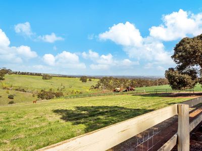 308 Medlow Road, One Tree Hill