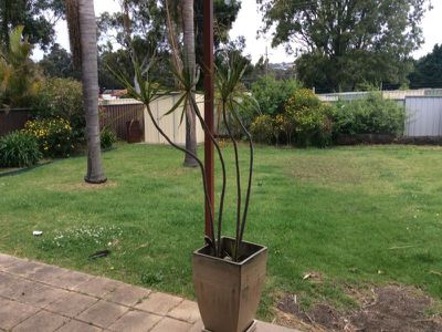 4 Hakea Place, Albion Park Rail