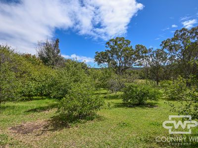 1574 Torrington Road, Stannum