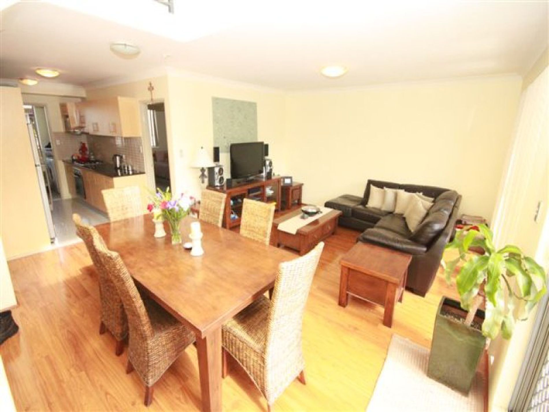 19 / 818 Canterbury Road, Roselands