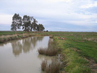 Macorna