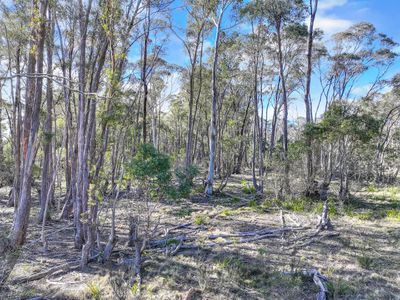 Lot 193 / 443 Back Creek Road, Mongarlowe