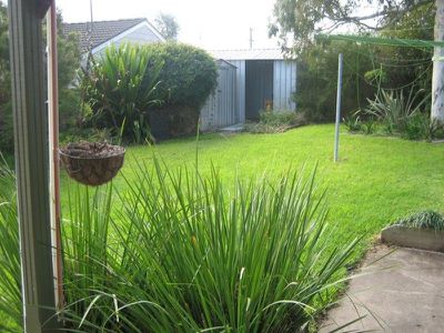 19 Lachlan Avenue, Barrack Heights