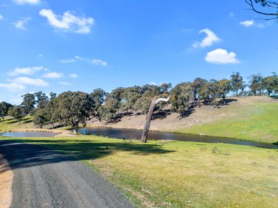 95 Daisyburn Road , Hilldene