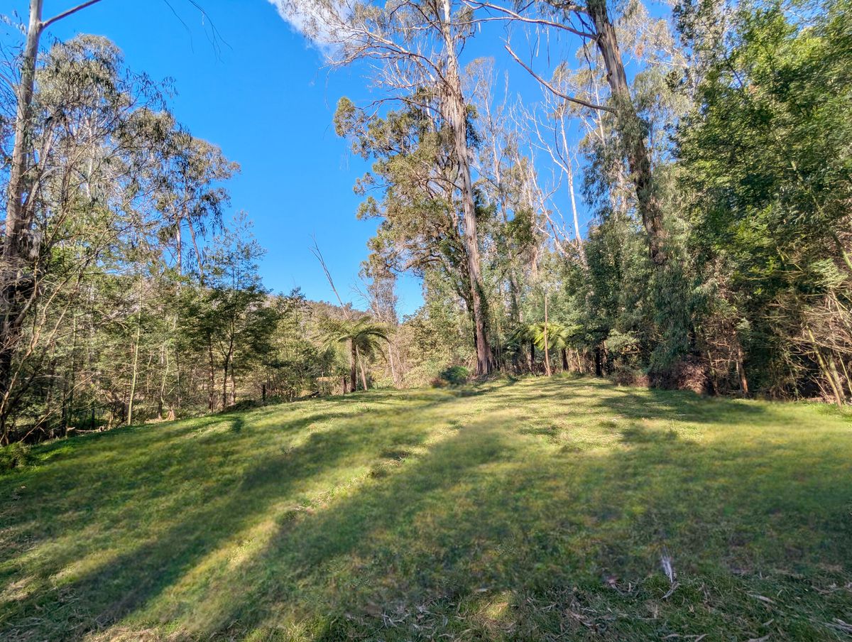 115 Gulph Creek Road, Nerrigundah