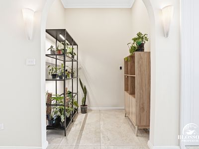 6 Boab Street , Marsden Park