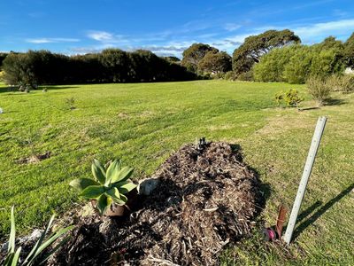 22 Linnell Drive, Beachport