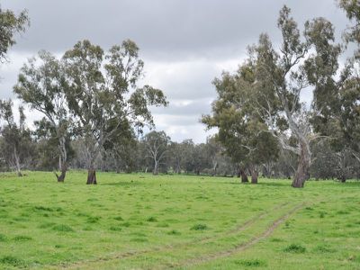 Snowdons Road, Bonegilla