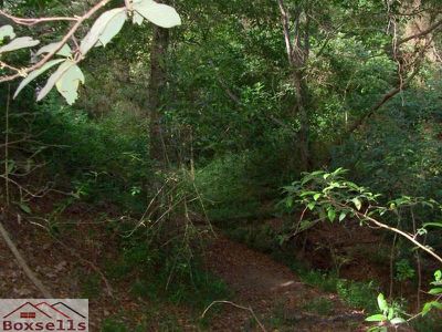 Maleny