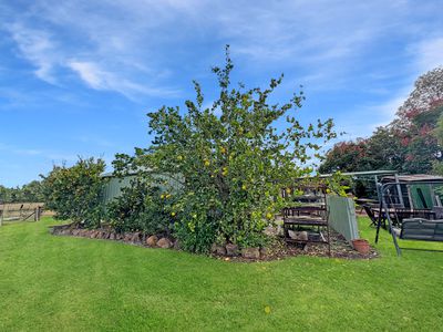 82 Bushs Lane, Gunnedah