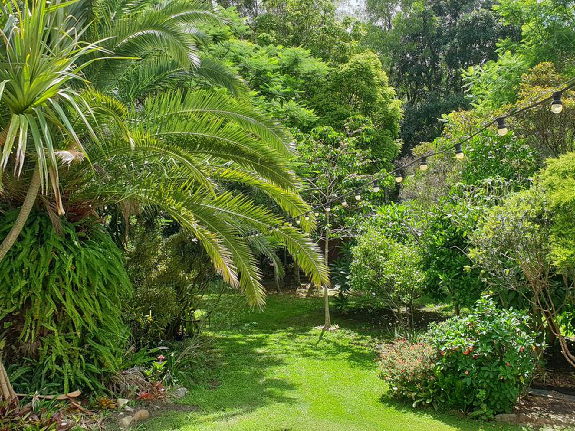 2 Barrenjoey Dr, Ormeau Hills