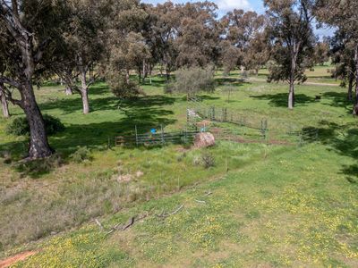 Lot 33, 36 & 36A, Walsh Road, Carlyle