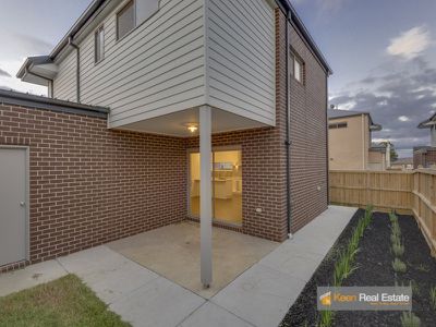 41 Kosciuszko Cct, Clyde North