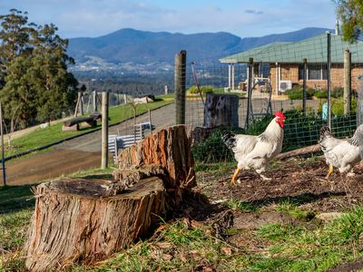52 Beldon Road, Glen Huon