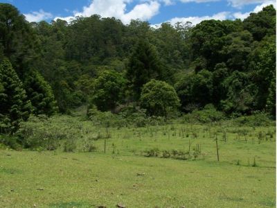 Maleny