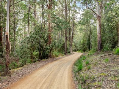 Lot 2, Tobys Hill Road, Cygnet