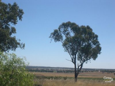 23L Angle Park Road, Dubbo