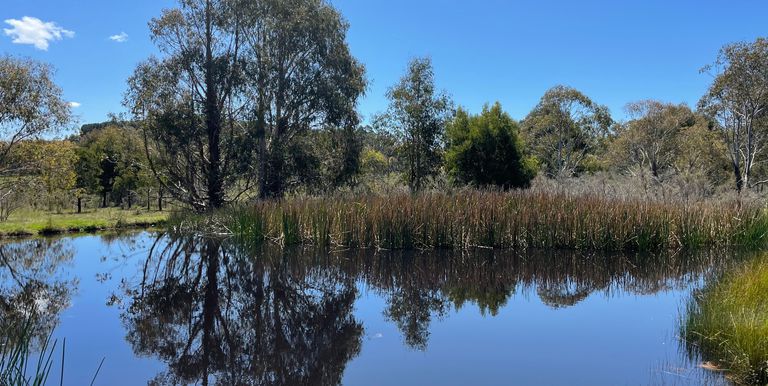 Lot 1 & 2, Bonnie Doon Road  , Marraweeney