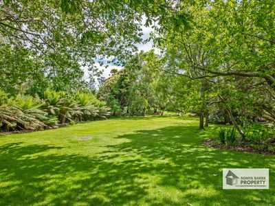 14 George Street, Wynyard
