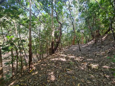 18 Flinders Street, Cooktown