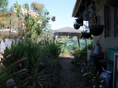Kununurra
