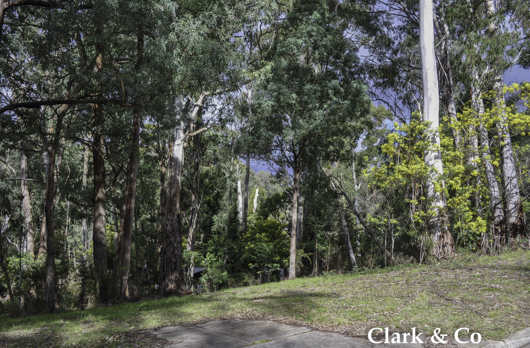 3 Settlement Court, Sawmill Settlement Clark & Co Real Estate