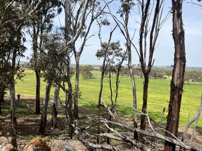 547 Bunmulling Road, Popanyinning