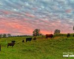 1024 Pappinbarra Road, Pappinbarra
