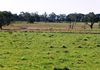Lot 42, 46 Forest Road, Orange