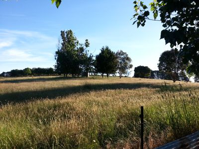 1012 Ancona Road Ancona, Mansfield