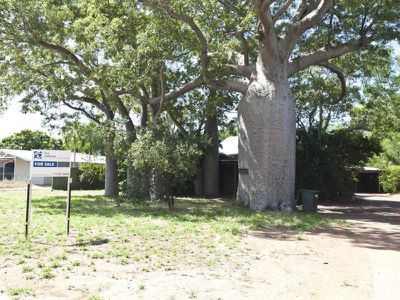 2 / 7 Cycas Close, Kununurra