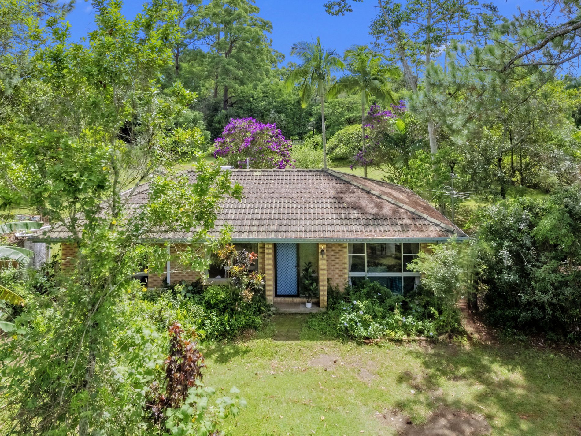 37 Plantation Road, Glass House Mountains Glasshouse Property Sales
