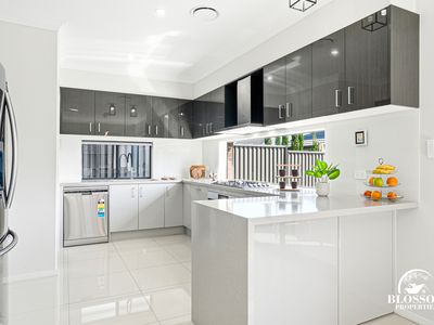 9  Flametree Drive, Marsden Park