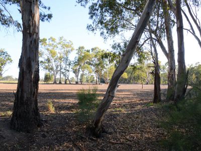 Lot 42, Riverview Drive, Barham