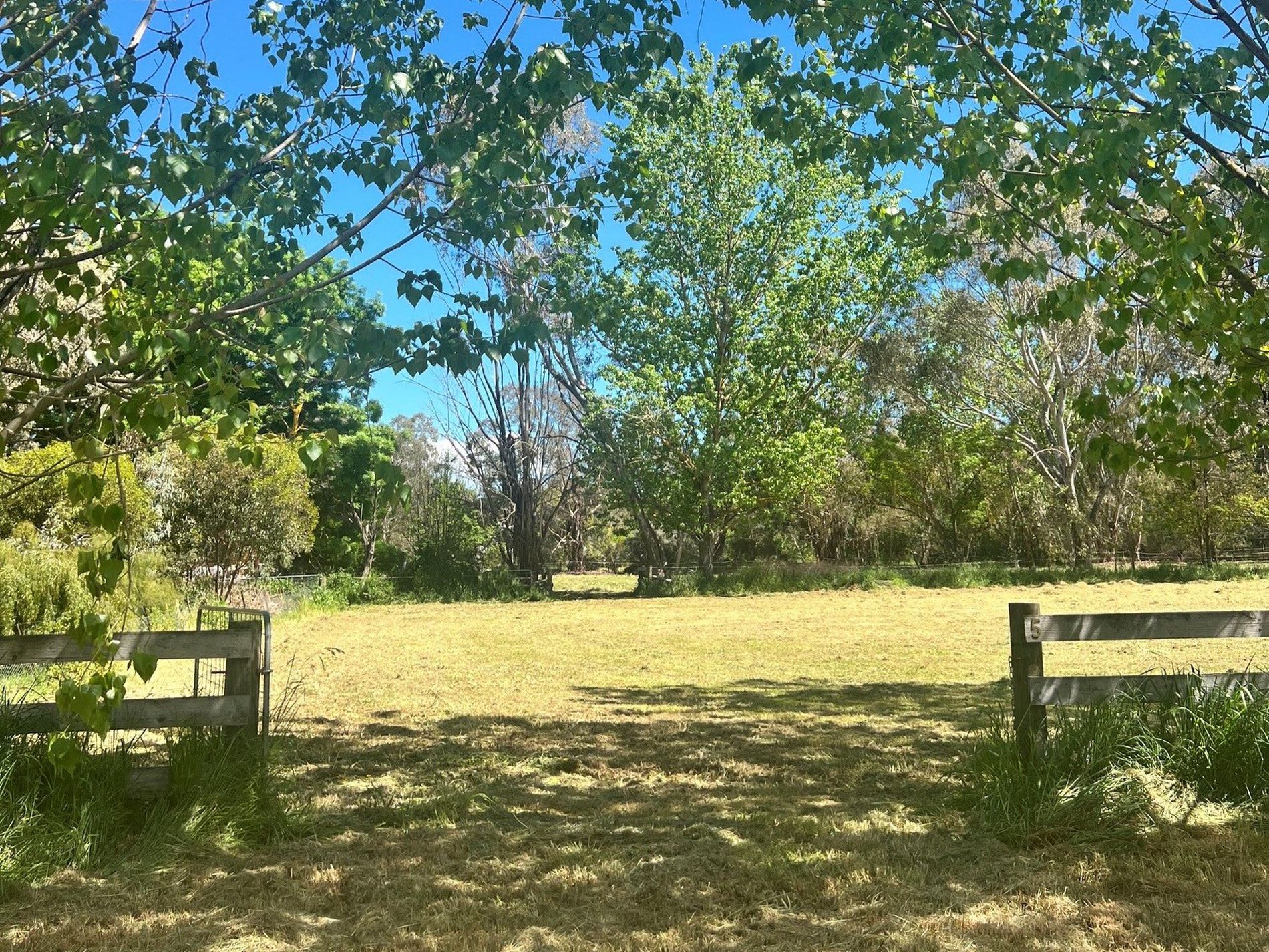5 Rowe Street, Mansfield
