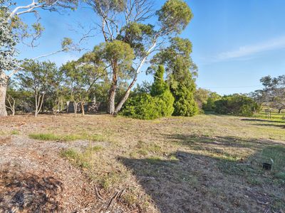 23 Erle Street, Carlton River