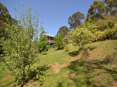 36 Sunrise Lane , Tawonga South
