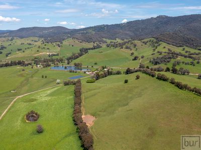 275 Soldier Settlers Road, Tallangatta Valley
