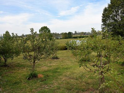 52 Sunnyview Drive, Glen Innes