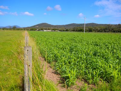 256 Hacks Ferry Road, Hacks Ferry