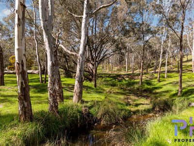 510 Spring Flat Road, Heathcote