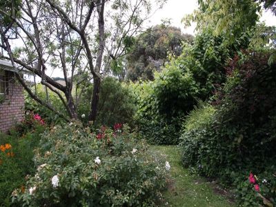 33 Esplanade Road, Cygnet
