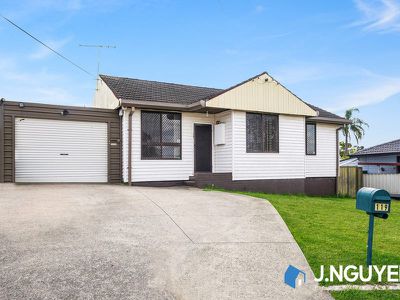 119 Townview Road, Mount Pritchard