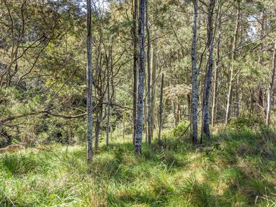 Lot 1, 519 Nicholls Rivulet Road, Oyster Cove