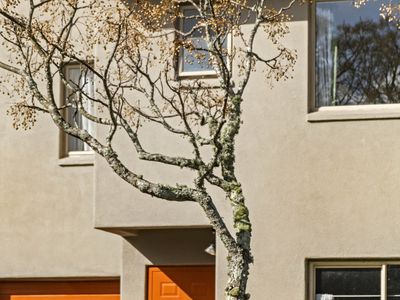 1 Butia Avenue, Henderson