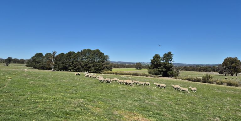 Lot 1 Longwood Ruffy Road , Ruffy